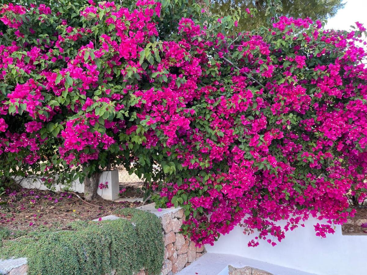 Es Queixal - Can Canet Con Piscina Exterior Climatizada Cala Vadella  Dış mekan fotoğraf
