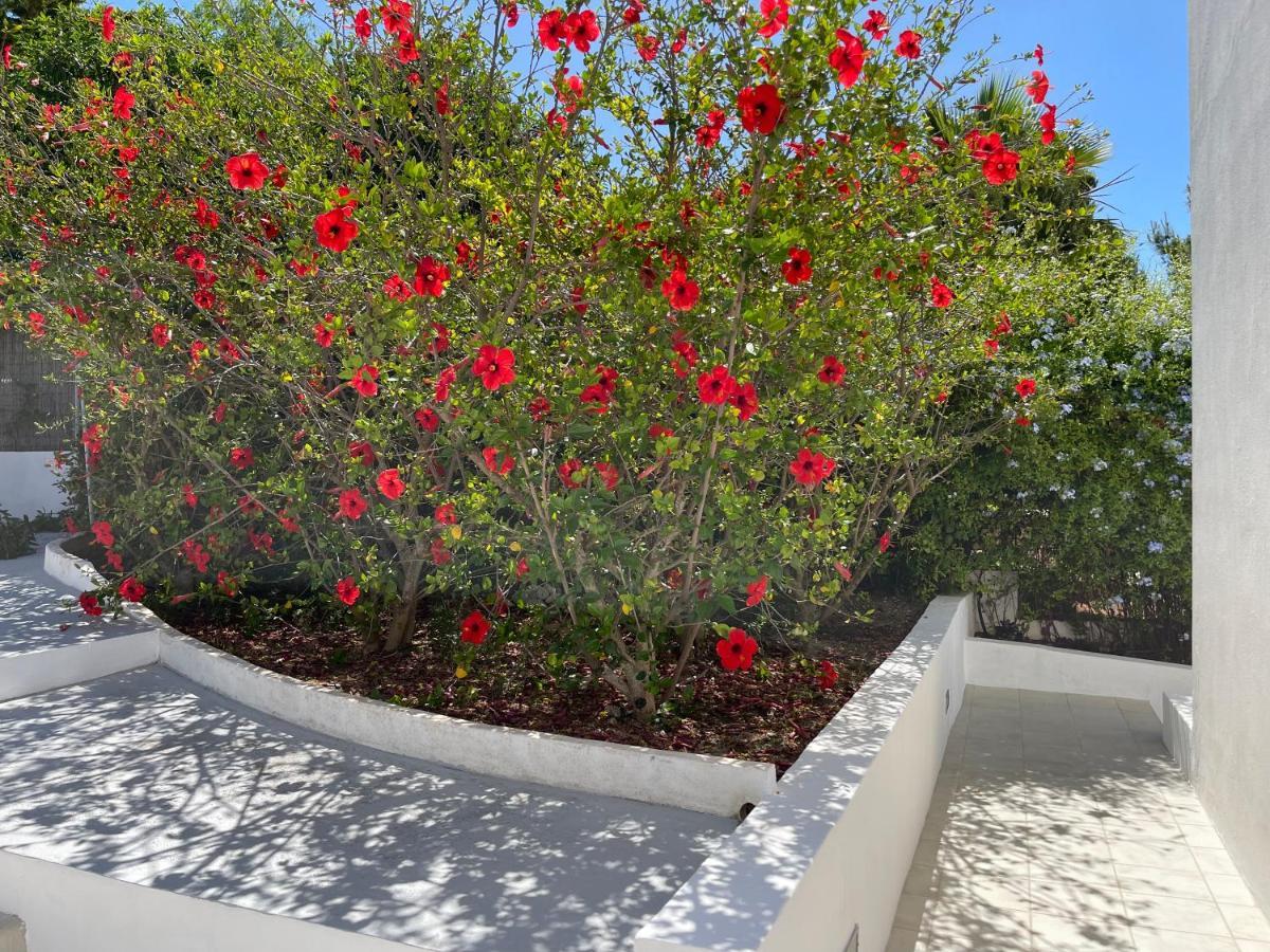 Es Queixal - Can Canet Con Piscina Exterior Climatizada Cala Vadella  Dış mekan fotoğraf